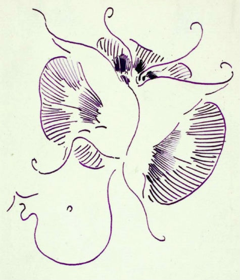Whistler's butterfly signature.jpg