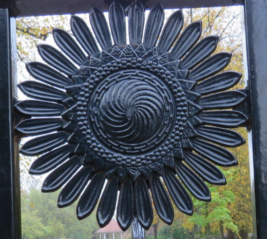 Sunflower_Chapelfield.jpg
