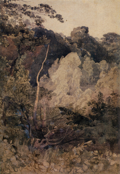 Cotman trees.jpg