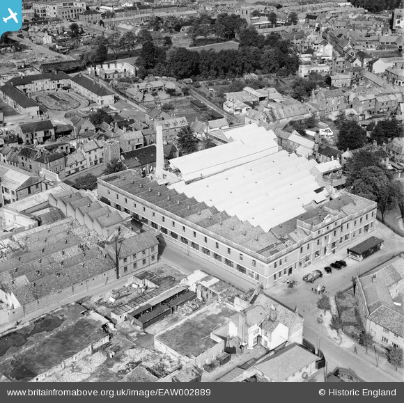 Reggie through the underpass | COLONEL UNTHANK'S NORWICH
