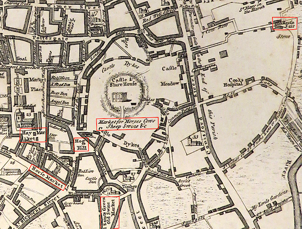 Annotated Kings 2.001.jpeg