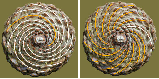 Screenshot 2020-06-23 at 18.53.53