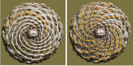 Screenshot 2020-06-23 at 18.53.53