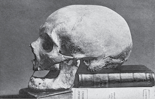 Screenshot 2020-06-25 at 15.31.29.png